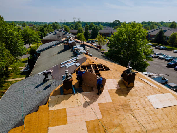 Best Flat Roof Repair Services  in Brightwood, VA