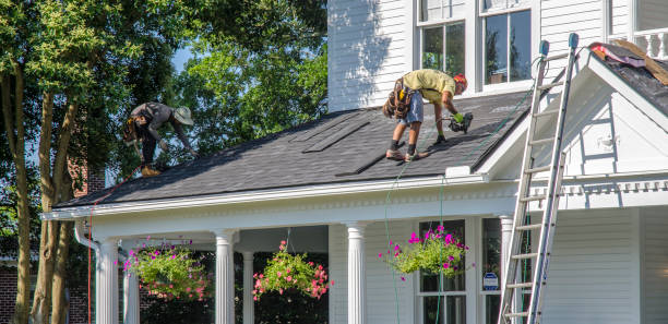 Best Roof Maintenance Services  in Brightwood, VA